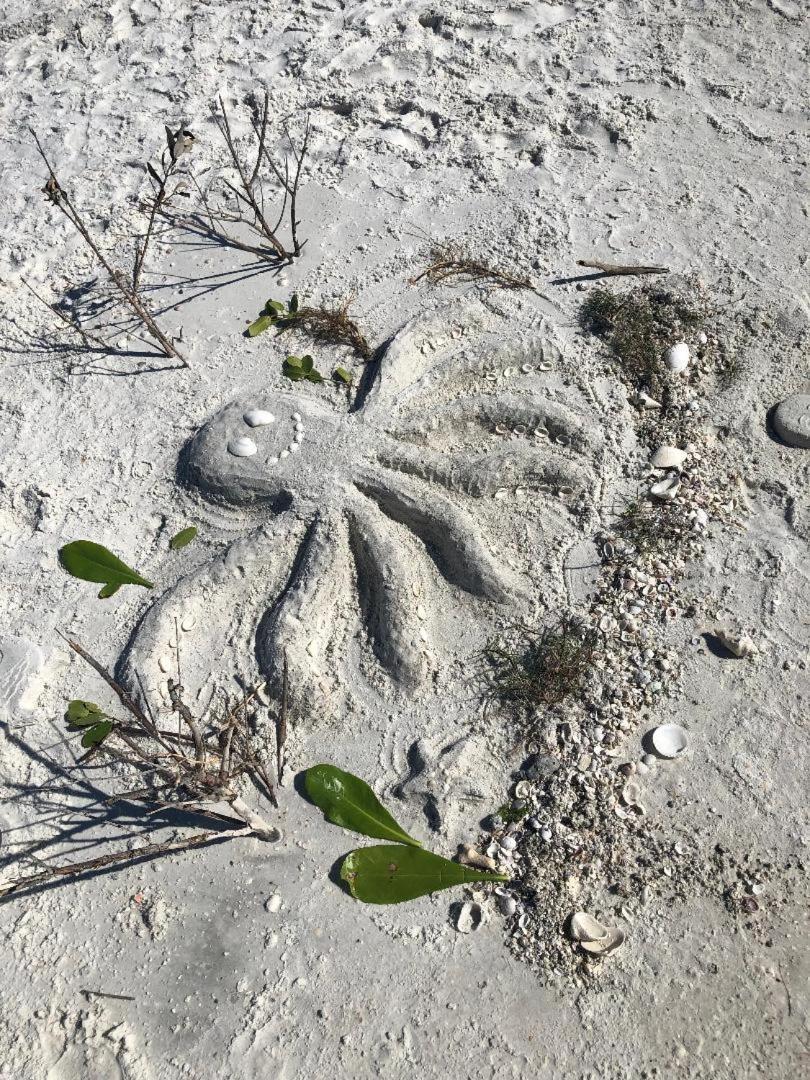 Welcome To The Paradise Fort Myers Beach Zewnętrze zdjęcie